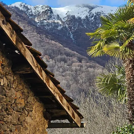 Casa In Altomalcantone Lejlighed